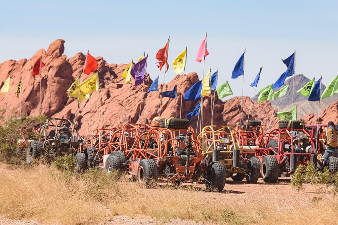 Valley of Fire ATV, RZR, UTV, or Dune Buggy Adventure - Customer Reviews and Feedback