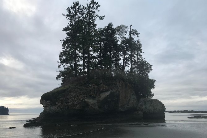 Viator Exclusive Tour- Olympic National Park Tour From Seattle - General Impressions and Recommendations