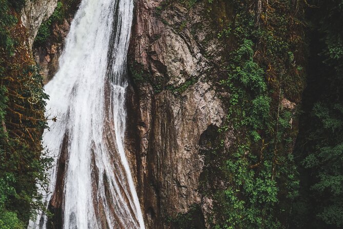 Visit Snoqualmie Falls and Hike to Twin Falls - Tour Guide Feedback