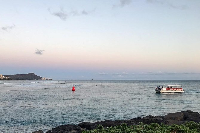 Waikiki Beach Glass Bottom Boat Tour - Participant Limit