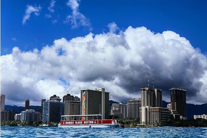 Waikiki Glass Bottom Boat Cruise - Wildlife Sightings and Visibility