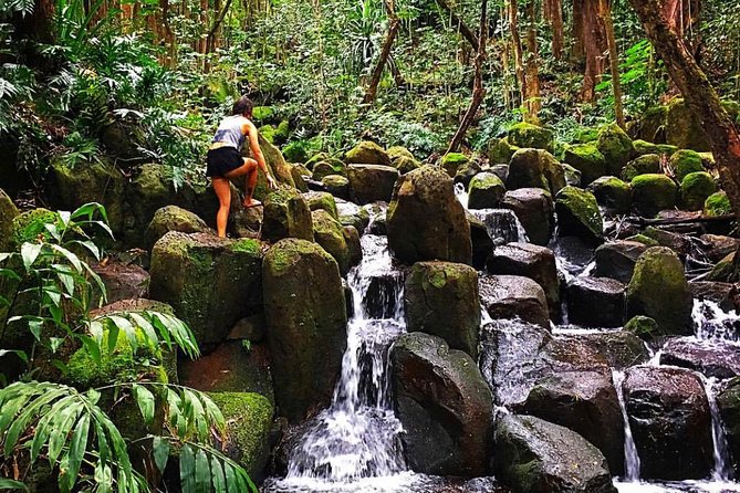 Wailua River & Waterfalls Kayak Tour: Expert-Guided Adventure - Health and Safety Considerations