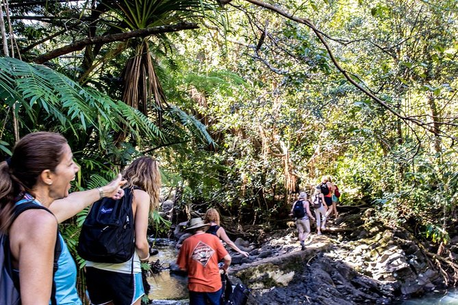 Waterfall & Rainforest Hiking Adventure With Hotel Pickup - Enjoy a Refreshing Swim