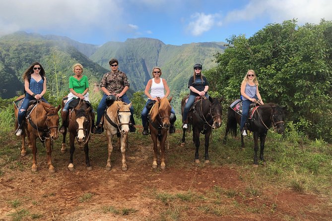 West Maui Mountain Waterfall and Ocean Tour via Horseback - Horses and Gear