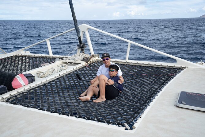 West Oahu Green Sea Turtle and Dolphin Snorkel Sail With Lunch - Dolphin Sightings and Responsible Viewing