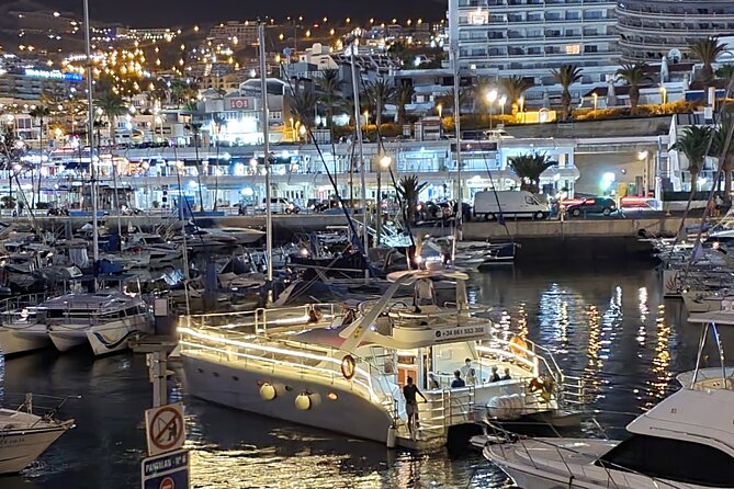 Whale Watching Catamaran Cruise With Transfer, Buffet by MC - Tour Capacity and Accessibility