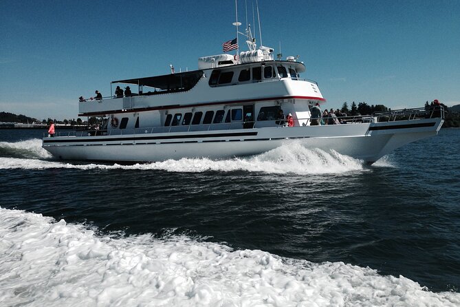 Whale Watching From Friday Harbor - Meeting Point and Logistics