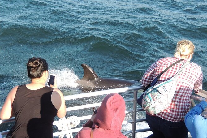 Whale Watching Tour From Anacortes - Recommended for Families