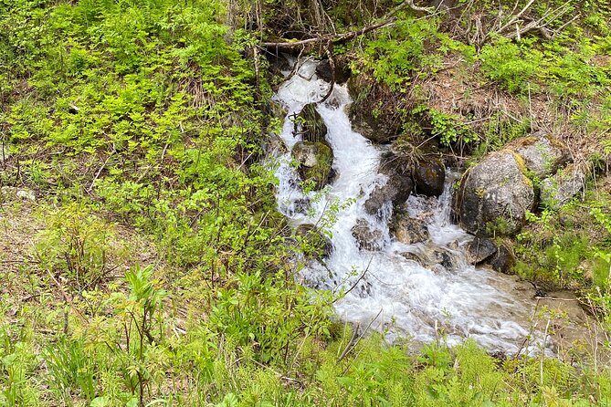 White Pass Deluxe Tour From Skagway - Inclusions