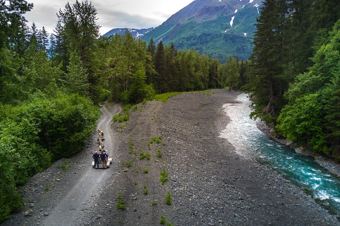 Wilderness Dog Sled Ride and Tour in Seward - Informative Demonstrations