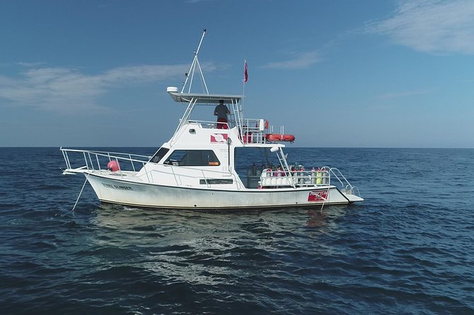 Wreck and Bridge Span Dive for Certified Divers - Included Amenities