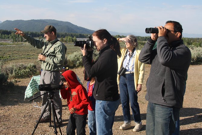 Yellowstone and Grand Teton 4 Day 3 Night Wildlife Adventure - Observing Wildlife in Lamar Valley