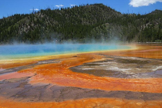 Yellowstone National Park - Full-Day Lower Loop Tour From West Yellowstone - Highlights of the Tour