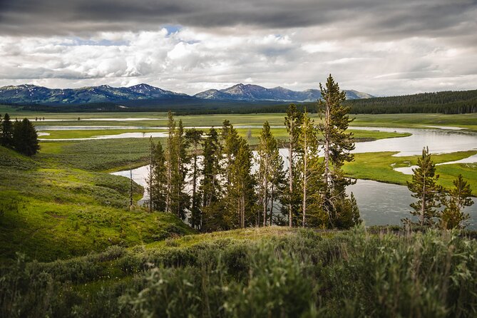 Yellowstone National Park Tour From Jackson Hole - Exploring Old Faithful