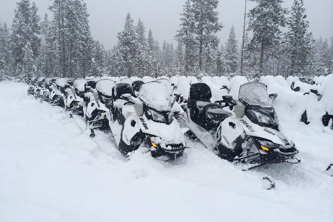Yellowstone Old Faithful Full-Day Snowmobile Tour From Jackson Hole - Preparation and Recommendations