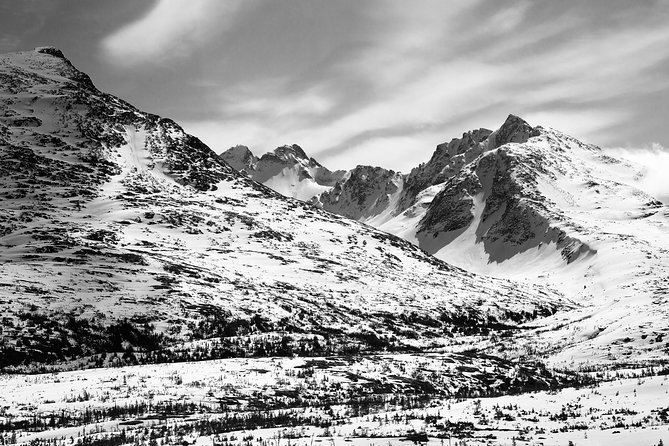Yukon Suspension Bridge and Summit Tour - Knowledgeable Guides