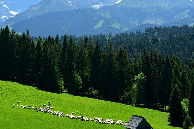 Zakopane & Thermal Baths With Hotel Pickup - Mountain Views and Highlander Culture