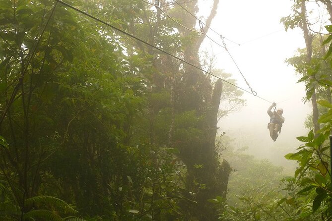 Zipline and Hanging Bridges Combo Tour in Monteverde Cloud Forest - Guided Tour and Staff