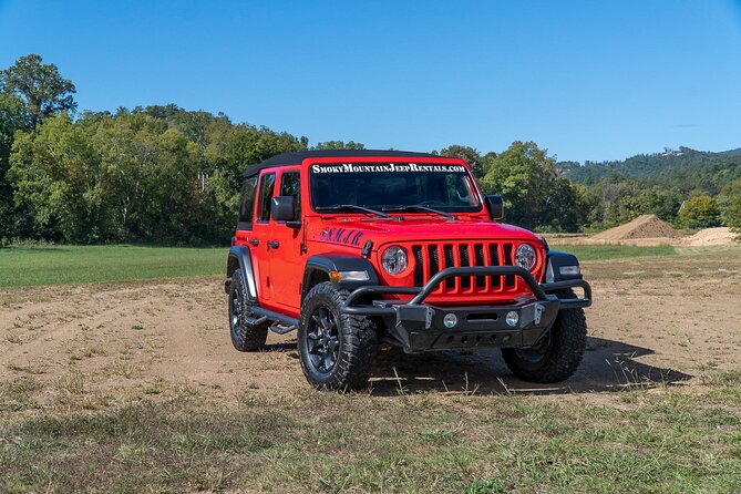 1 Day Jeep Rental Through the Smoky Mountains - Encountering Wildlife