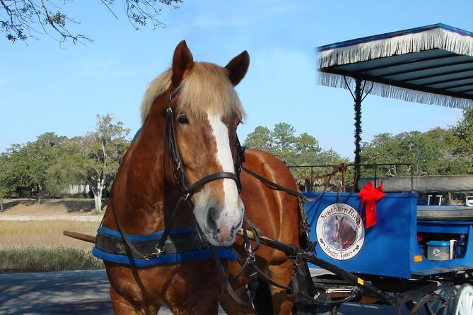 #1 Historical Horse Drawn Carriage Tour - Memorable Horse-Drawn Journey