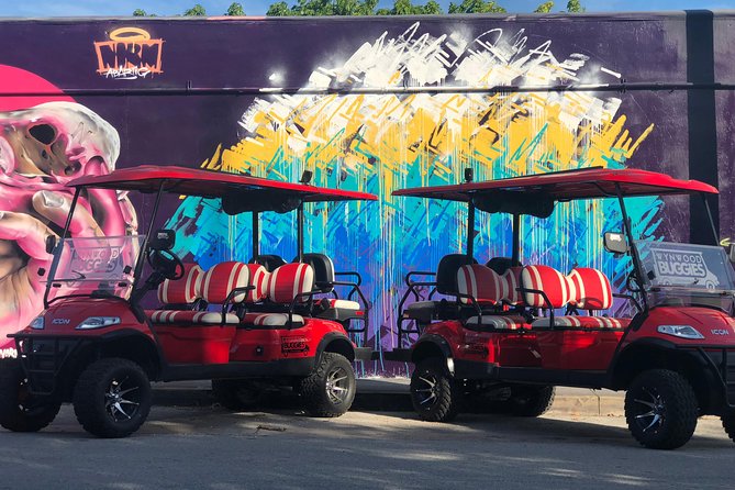 1 Hour WYNWOOD BUGGIES Tour (Language: ENGLISH) - Booking and Accessibility