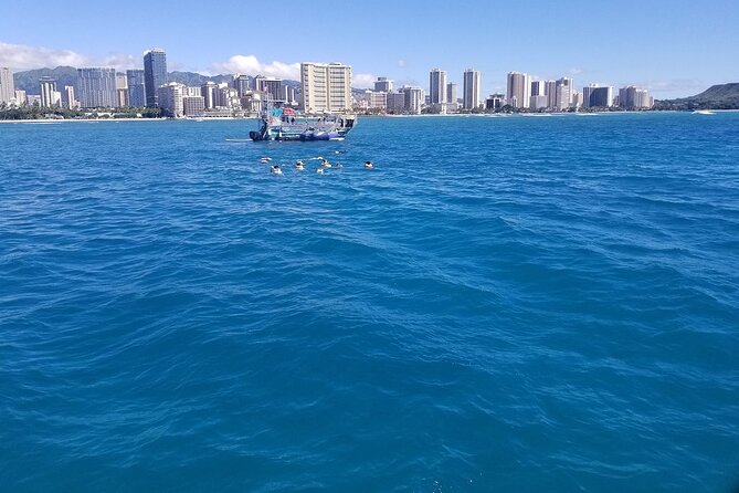 12pm Turtle Canyon Snorkel Adventure - Positive Customer Feedback