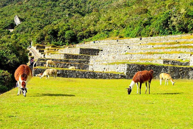 2-Day Private Tour of the Inca Trail to Machu Picchu - Day 1: Trekking to Winay Wayna