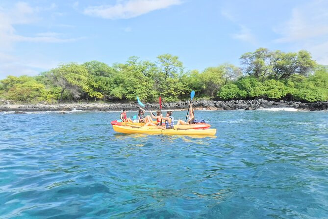 3.5 Hour Kailua-Kona Ocean Kayak and Snorkel Tour - Encountering Marine Life