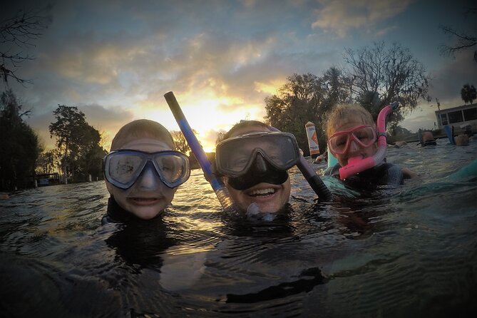 3 Hours Manatee Swim Tour in Florida - Customer Feedback and Ratings
