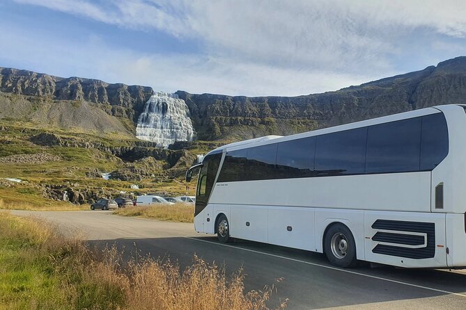 3,5-Hour Sightseeing Tour To Dynjandi Waterfall - Connecting With Like-Minded Travelers