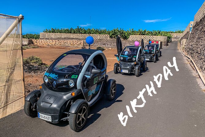 4 Hours Eco Safari Tour With Electric Car in Tenerife - Personalized Experience With a Small Group