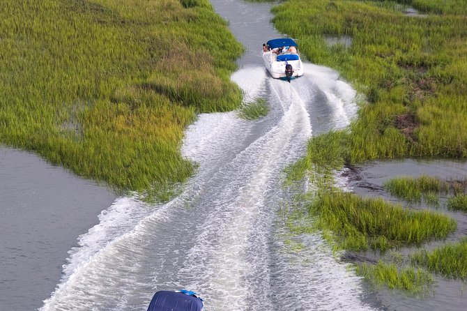 90-Minute Dolphin and Nature Tour of Hilton Head - What to Expect During the Tour