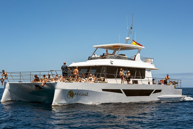 Afrikat Afternoon Cruise - Accessibility for All Guests