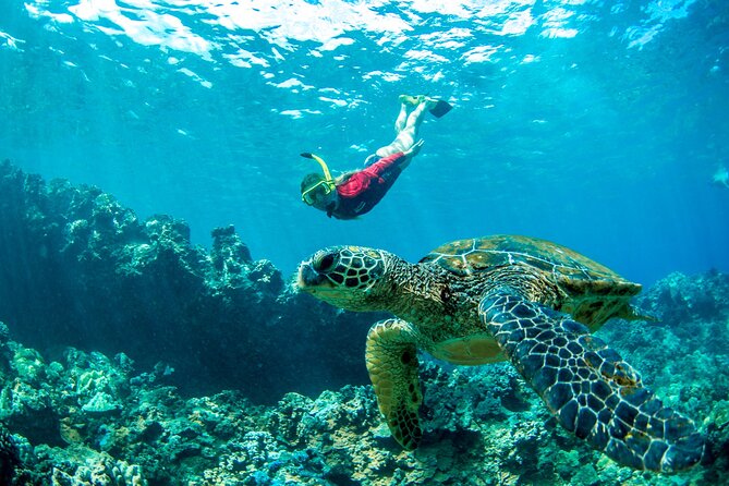 Afternoon West Maui Snorkel From Ka'Anapali Beach - Health and Safety Considerations