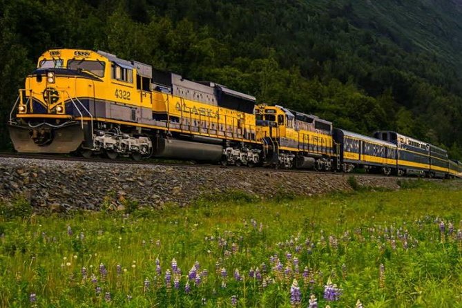 Alaska Railroad Anchorage to Seward Round-Trip Same Day Return - Accessibility and Policies