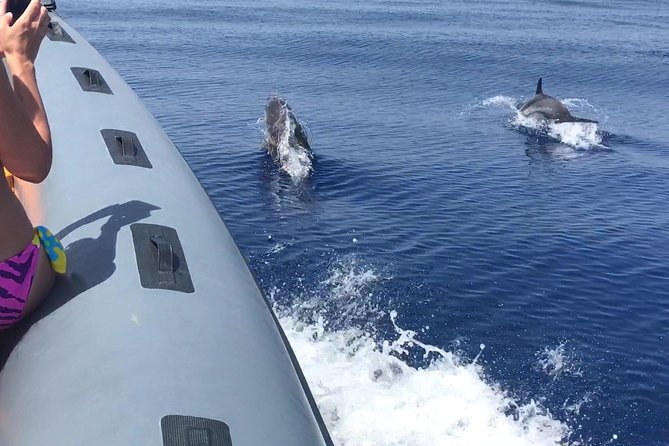 Amazing Boat Trip From Tropea to Capo Vaticano - 6 to 12 People - Boat Capacity and Pricing