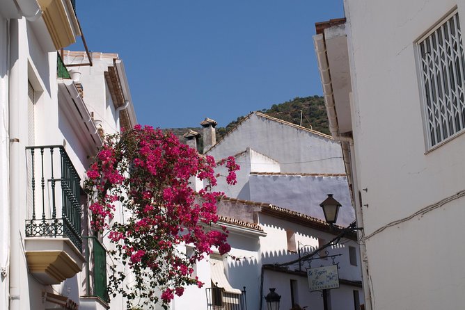 Authentic Andalusia - Jeep Eco Tour (Pick up From Marbella - Estepona) - Discovering the Natural Wonders of Parque Nacional Sierra De Las Nieves