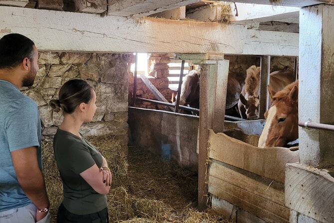 Authentic Tour & Meal With the Amish! - Booking and Cancellation Policy