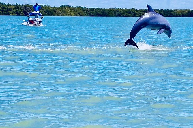 Backwater Adventures CraigCat Tours of the 10,000 Islands - Customer Feedback and Recommendations