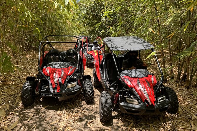 Bamboo Dune Buggy Tour - Preparing for the Adventure