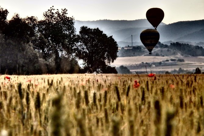 Barcelona:​​ Montserrat Hot Air Balloon Ride With Champagne Toast - Important Considerations and Restrictions