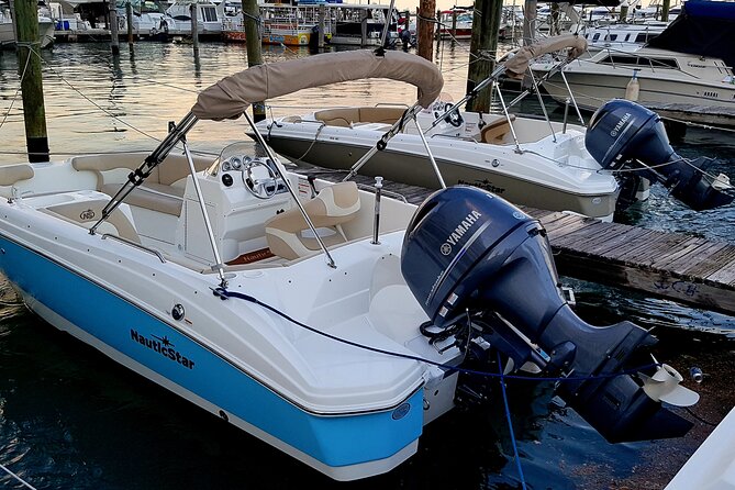 Best Miami Self-Driving Boat Rental! - Exploring the Islands and Wildlife