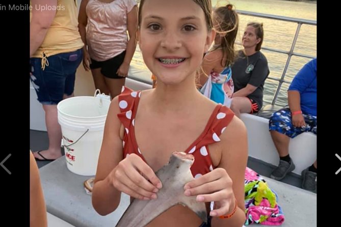 Big Fun Dolphin Cruise & Sealife Experiece ORANGE BEACH ALABAMA - Dolphin Sightings and Marine Life Encounters