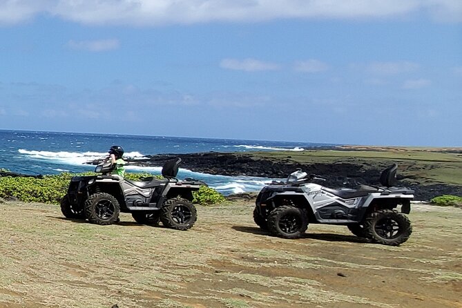 Big Island Southside ATV Tour - Customer Reviews and Feedback