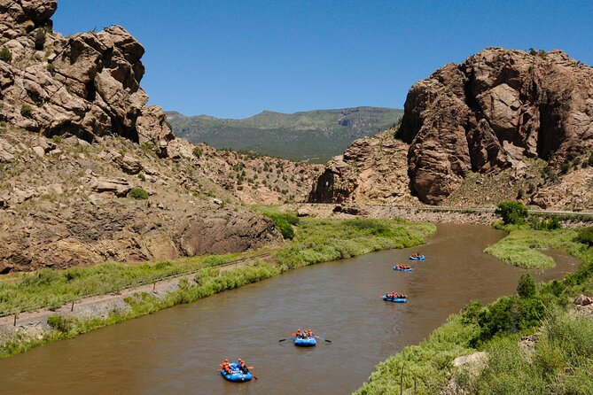 Bighorn Sheep Canyon Half Day Tour (Free Wetsuit Gear Use) - Bighorn Sheep Sightings