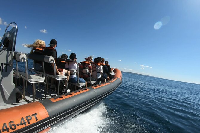 Boat Trip to the Caves of Benagil - What to Expect During the Cruise
