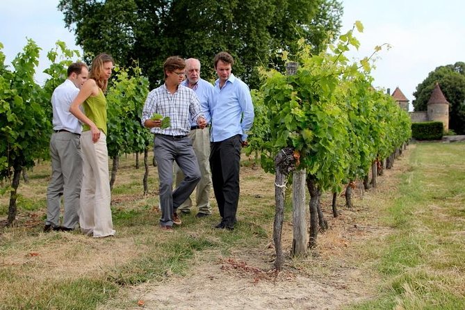 Bordeaux Super Saver Wine Tasting Class With Lunch and St Emilion Region - How to Prepare for Your Wine Tasting Adventure