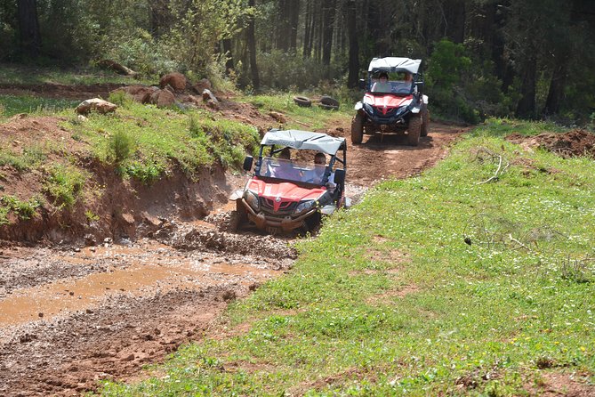 Buggy Safari - Customer Experiences