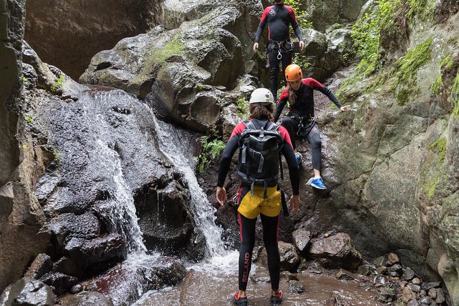 Canyoning With Waterfalls in the Rainforest - Small Groups ツ - Exploring the Rainforest Canyons
