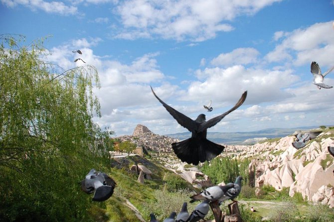 Cappadocia Tour - Exploring Goreme Open-Air Museum